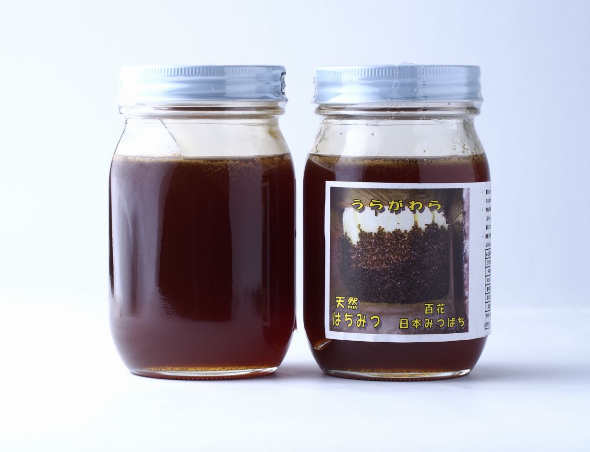 日本みつばちのハチミツ500g:通信販売-新潟県上越-雪だるま物産館