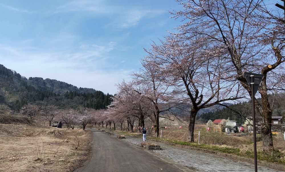 2022年4月11日の様子