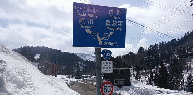 国道403号看板