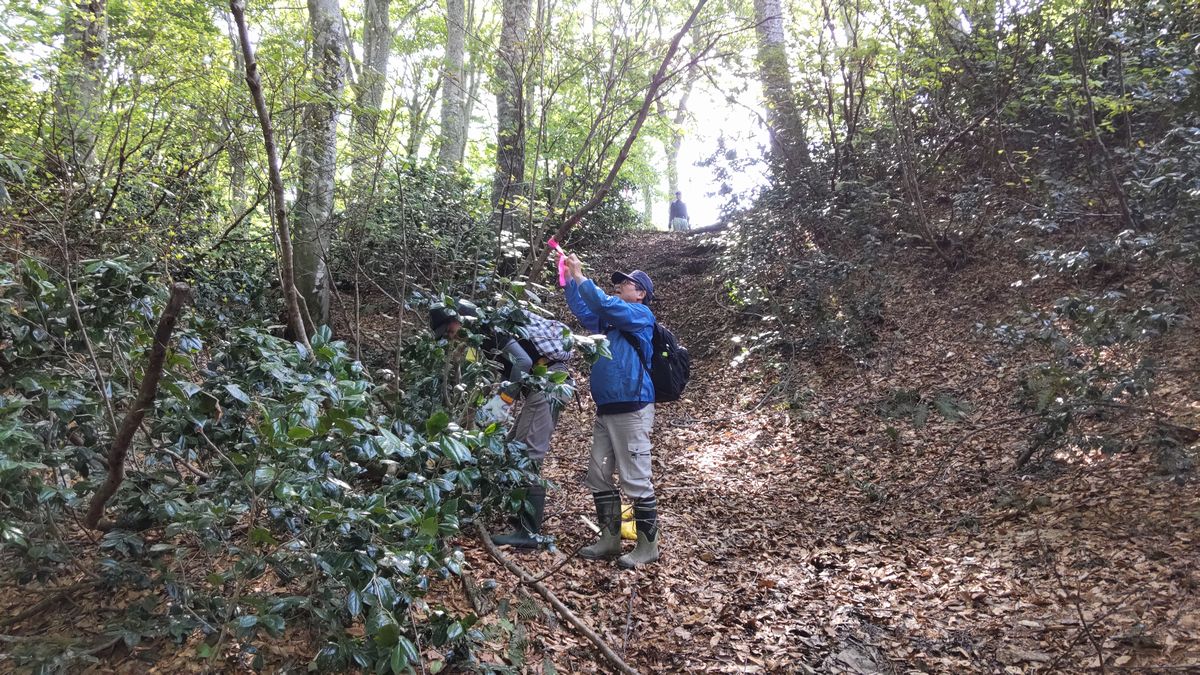 登山道の整備