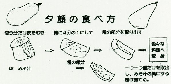 夕顔（ゆうがお・ユウガオ）のレシピ、食べ方