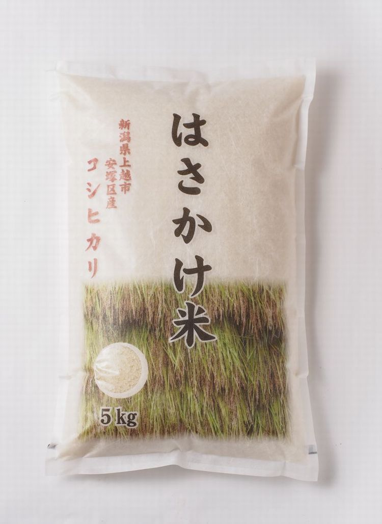 はさかけ米 5kg白米 令和5年産コシヒカリ-新潟県上越市安塚区産