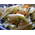 山うどの煮物